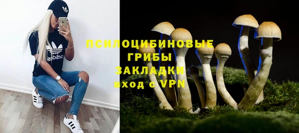 ешки Горняк
