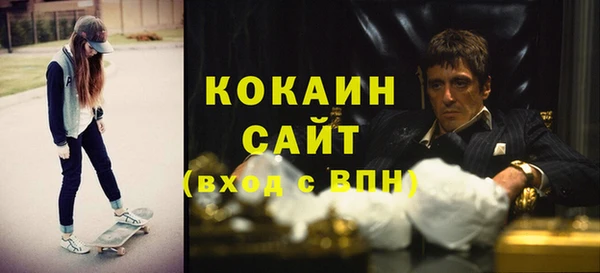 ешки Горняк