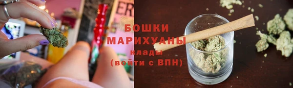 крисы Горно-Алтайск