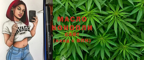 ешки Горняк