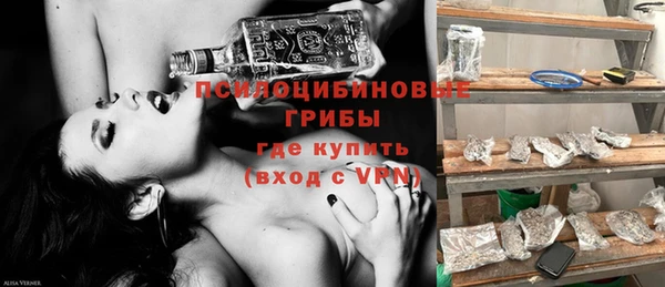 крисы Горно-Алтайск