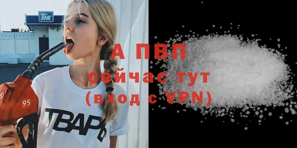 ешки Горняк