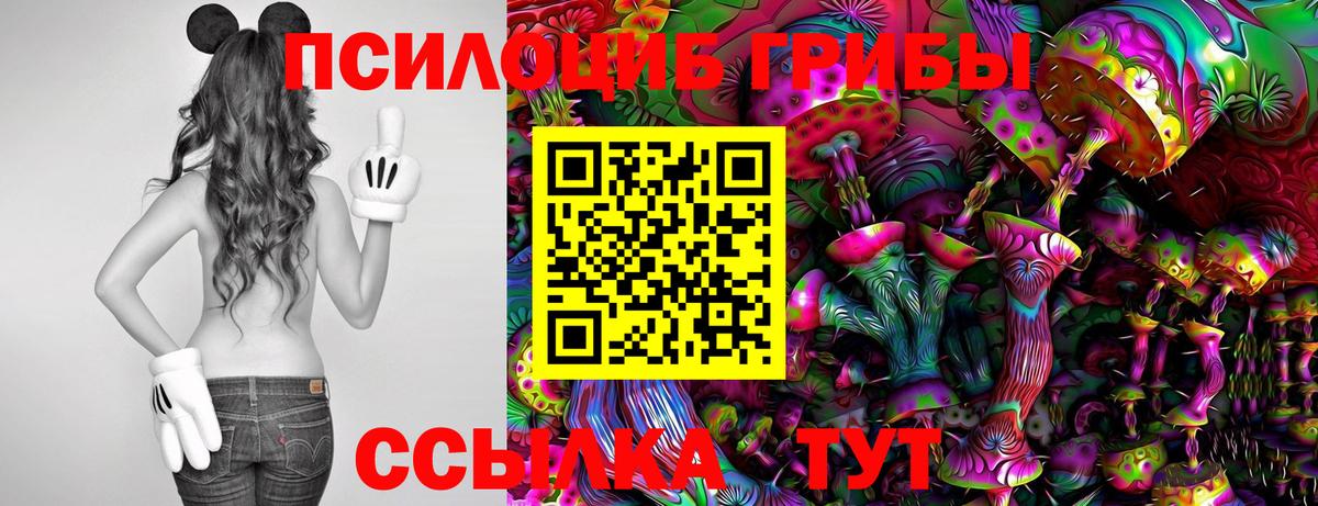 Галлюциногенные грибы Psilocybine cubensis Можайск