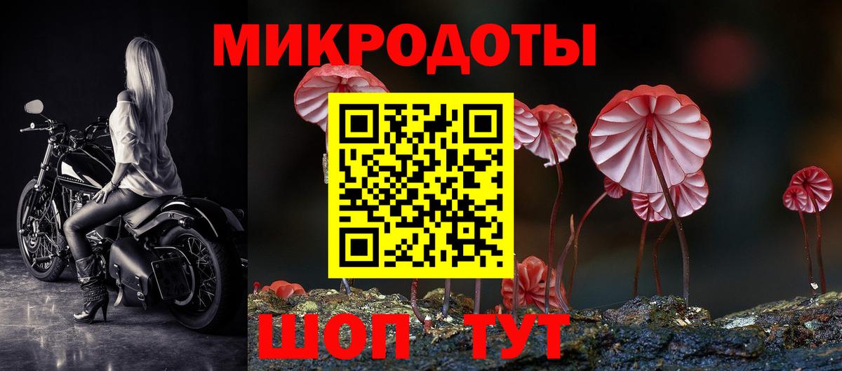 Можайск  Псилоцибиновые грибы Cubensis  Вход с VPN  Галлюциногенные грибы мухоморы 