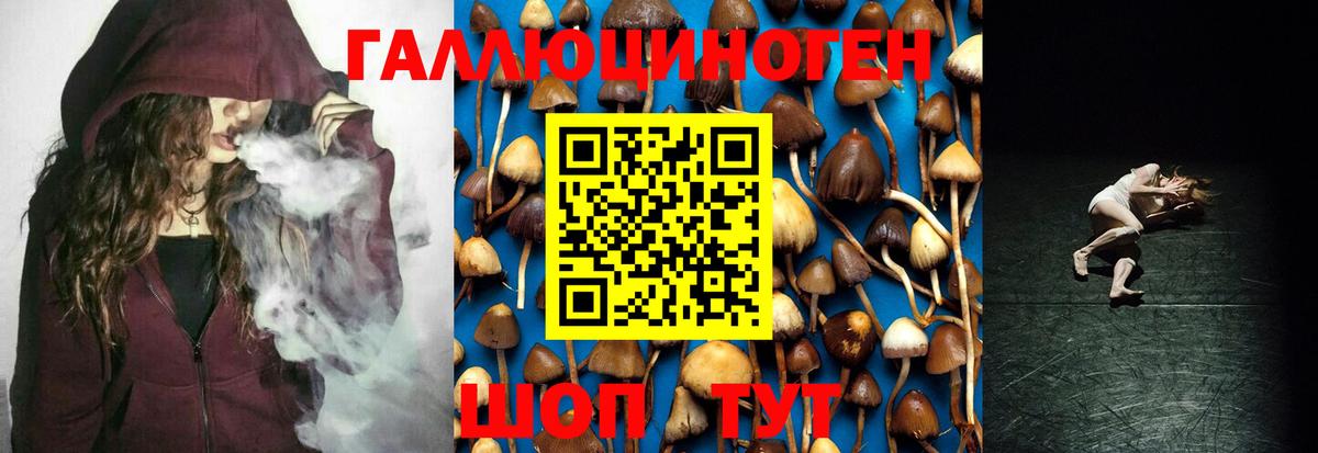 Галлюциногенные грибы Cubensis  Можайск 