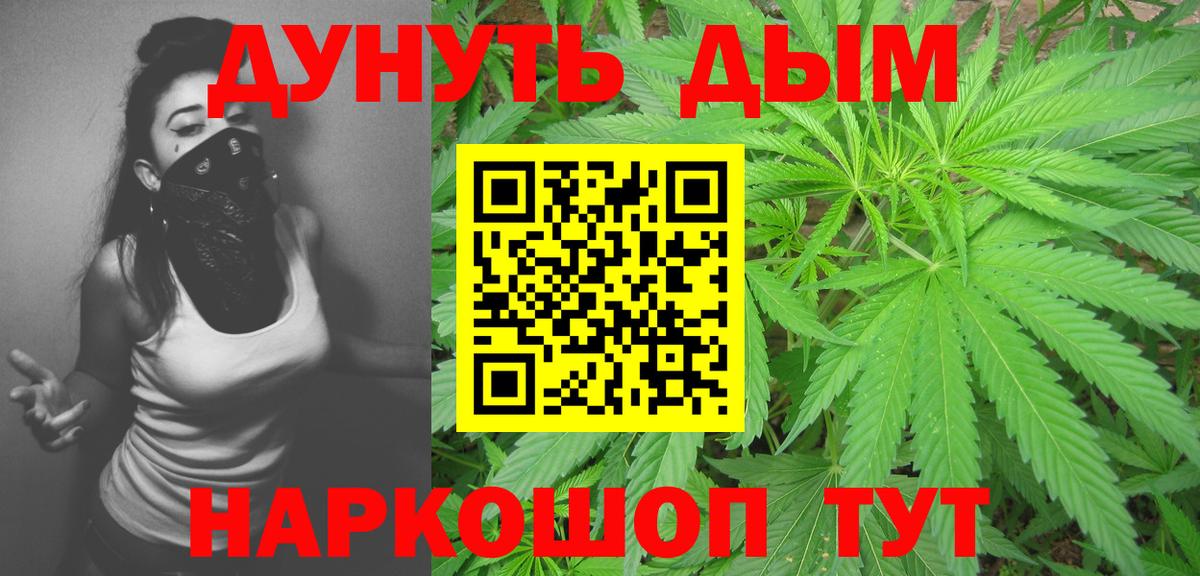 Канабис сатива Можайск